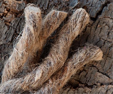 What’s the Best All-Natural Fire-Starter Tinder? | TITAN Survival