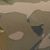 Woodland Camo
