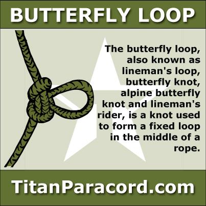 Butterfly Loop